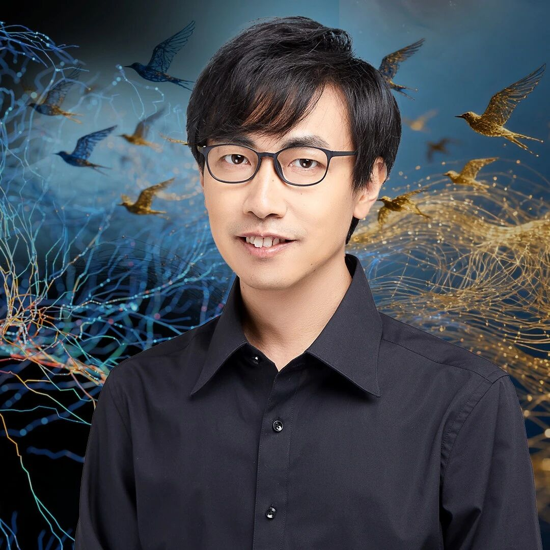 从鸟群到大脑：因果涌现能解释什么？ | 科普专访